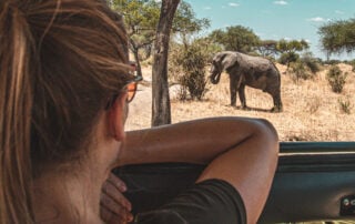 What photo gear to pack for your photo Safari.
