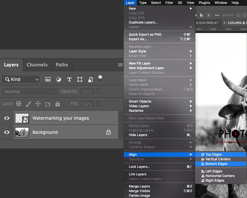 Creating a Photoshop action to watermark your images