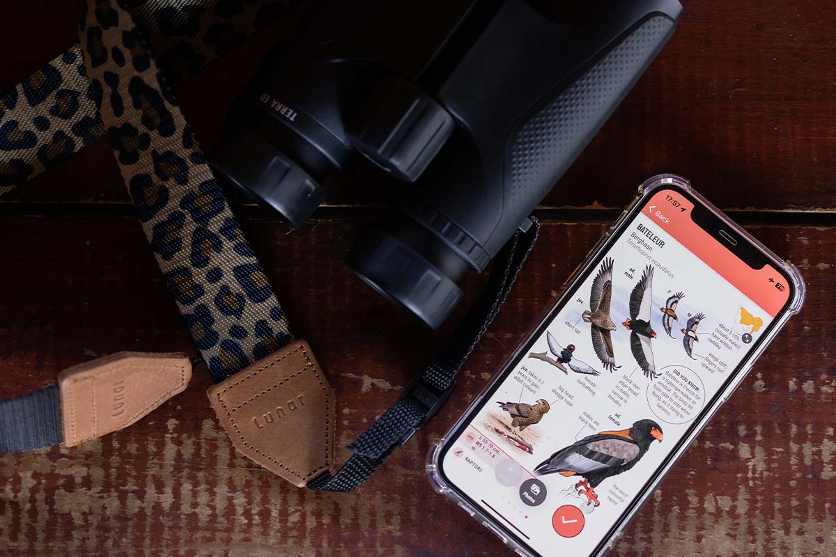 firefinch-birding-app-2
