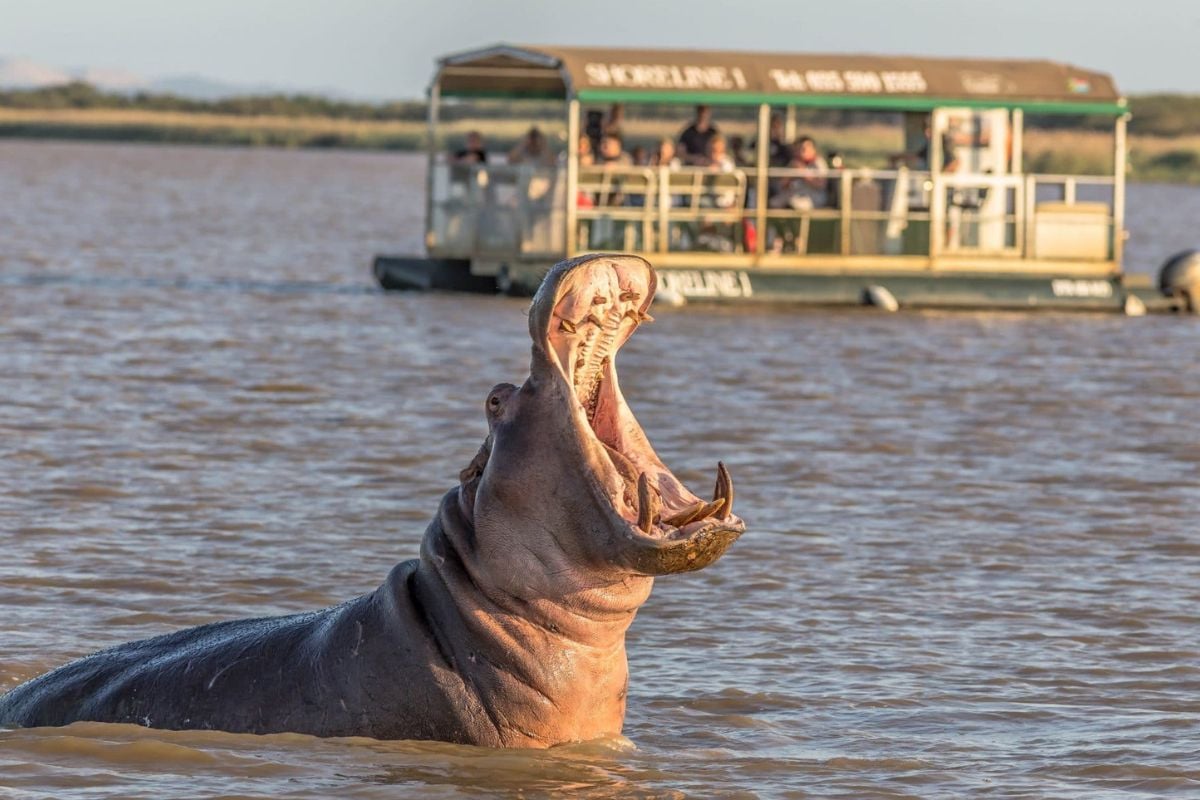 Wildlife photography locations near cities