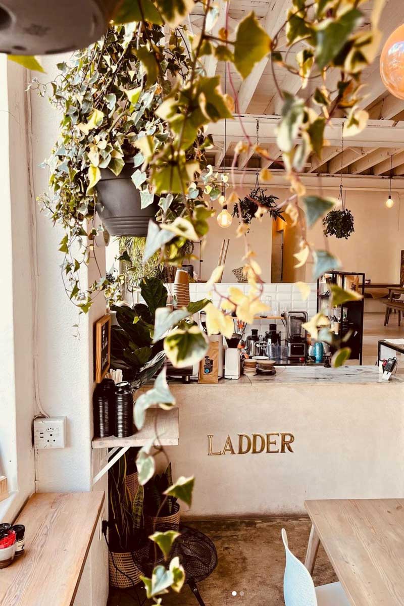 Best photoshoot locations in and around Cape Town: The Ladder