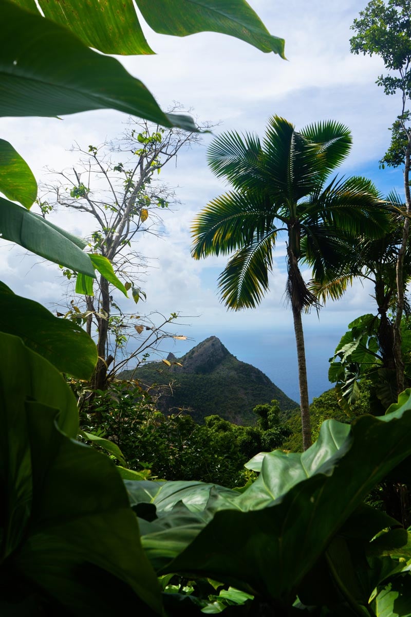 Tropical landscape Tropical landscape photo