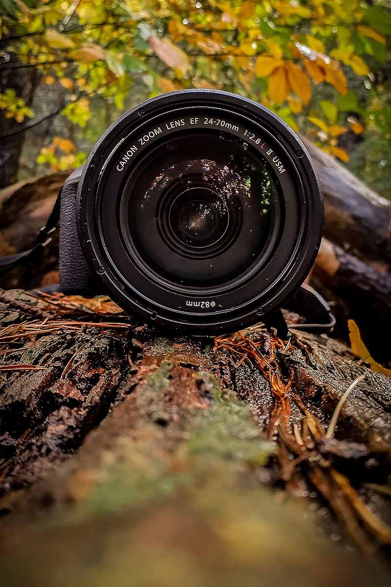 Exploring the most commonly rented cameras and lenses for 2023.
