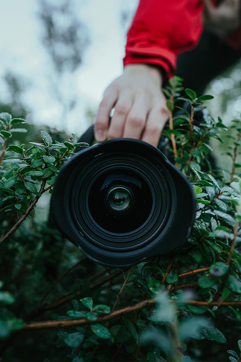 Exploring the most commonly rented cameras and lenses for 2023.