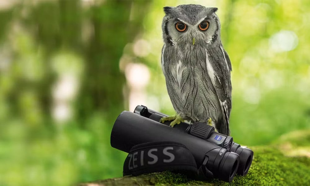 BLOG-ZEISS-BINOCULARS-MARCH-2024-1000×600-2 Choosing the right Zeiss binoculars.