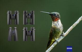 Choosing the right Zeiss binoculars.