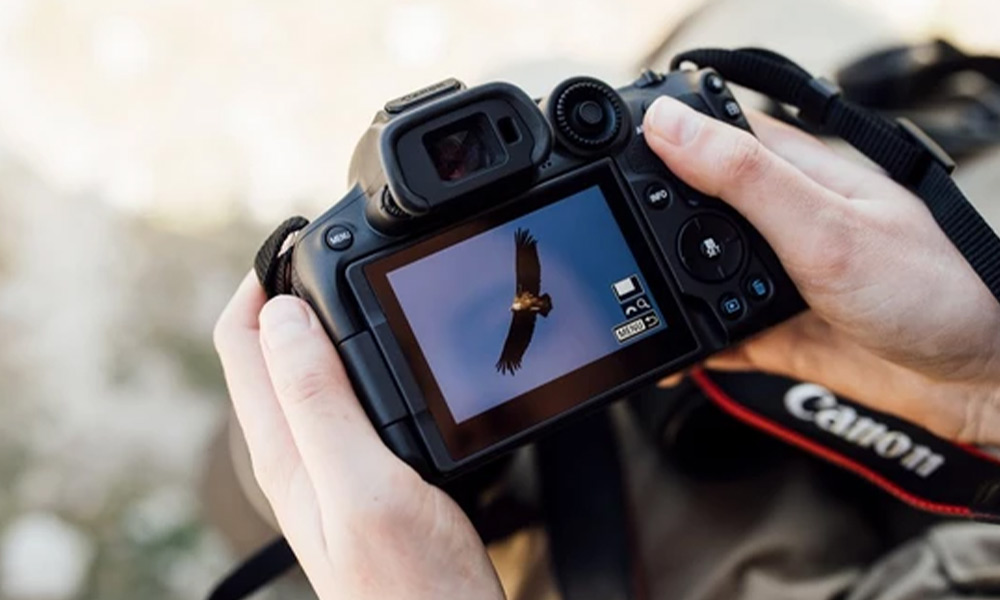 Take a look at top mirrorless cameras like the Canon EOS R7, Nikon Z6 II, and Sony Alpha a7 IV, each designed to meet different photographic needs.