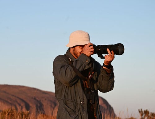 Gear up for Birding Big Day 2024 with Firefinch and Outdoorphoto!