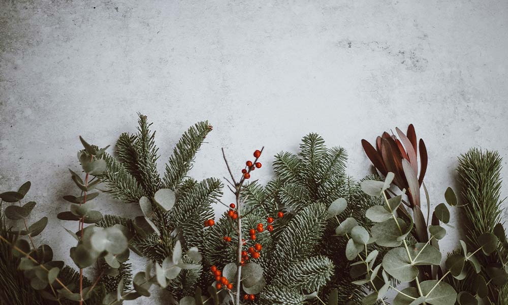 Festive gift guide for photographers and videographers Celebrate the holidays with gifts photographers and videographers will love!