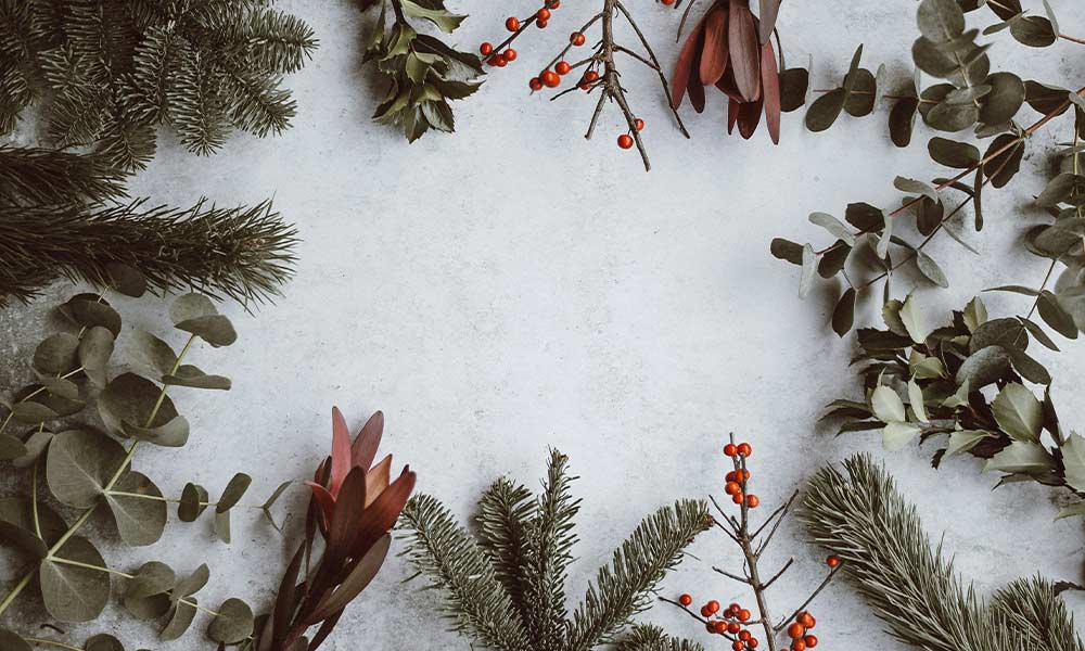 Festive gift guide for photographers and videographers Celebrate the holidays with gifts photographers and videographers will love!