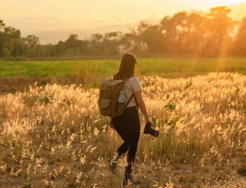 Essential Gear for Wildlife Photographers 2025