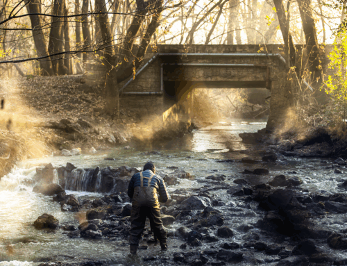 7 Creative Ways to use Long Exposure in Photography