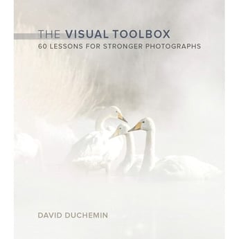 The Visual Toolbox: 60 Lessons for Stronger Photographs by David Duchemin