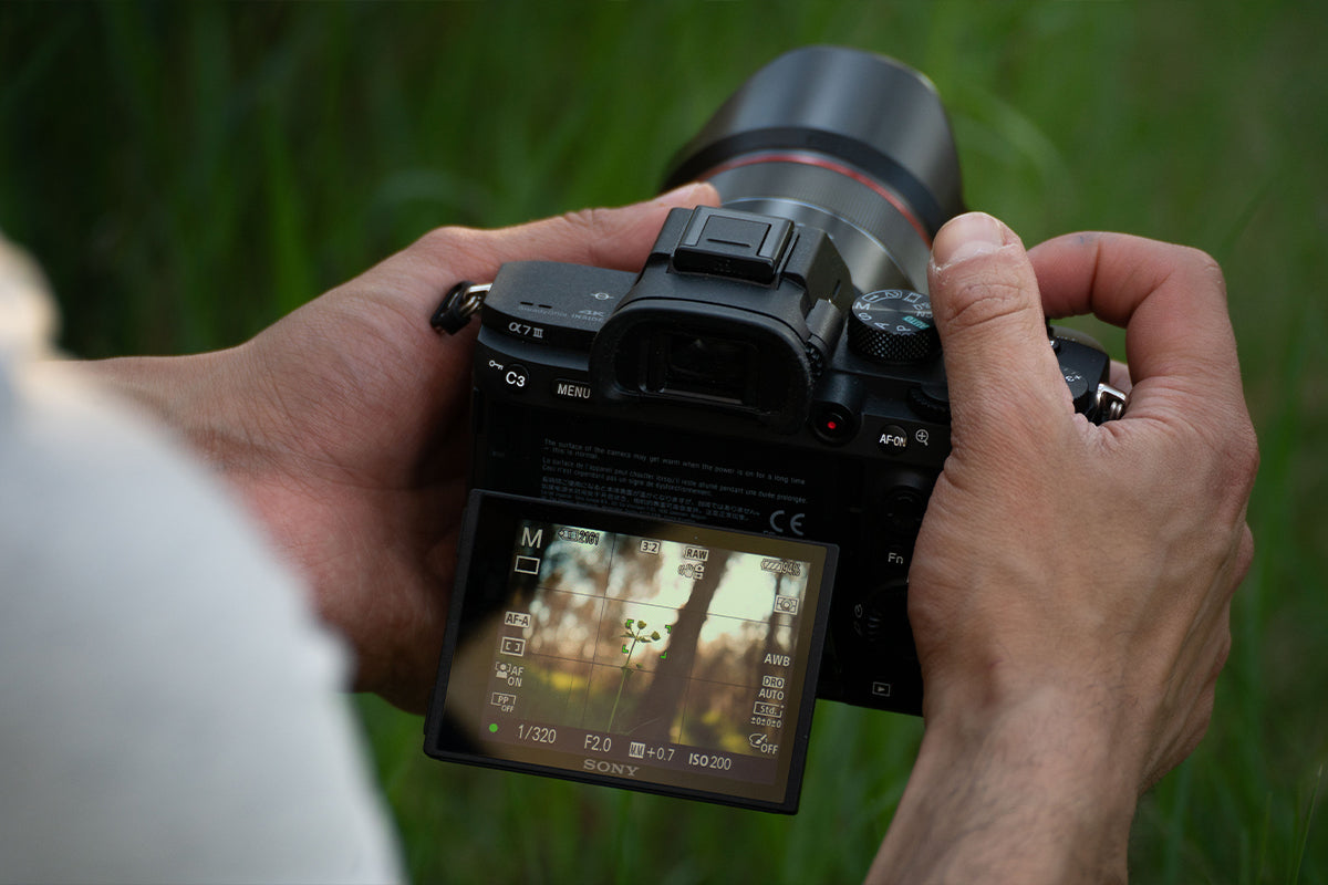 Autofocus Modes Explained