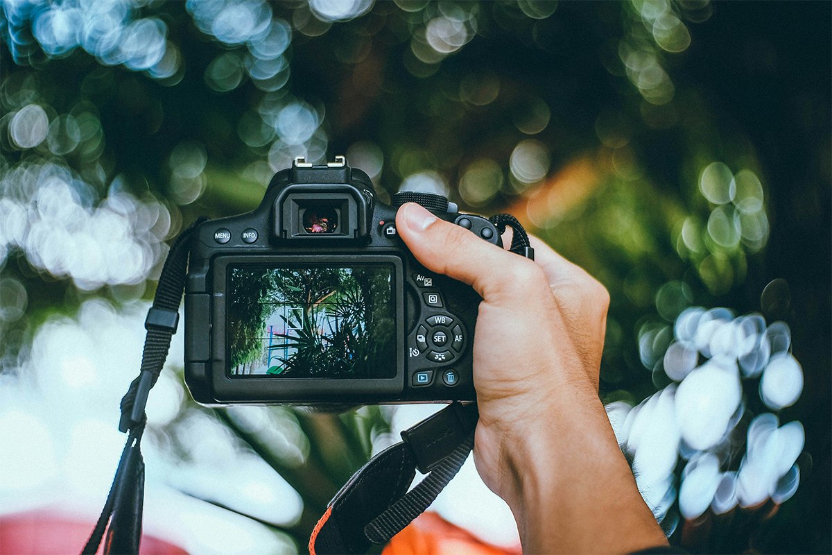 Best Cameras for Beginners