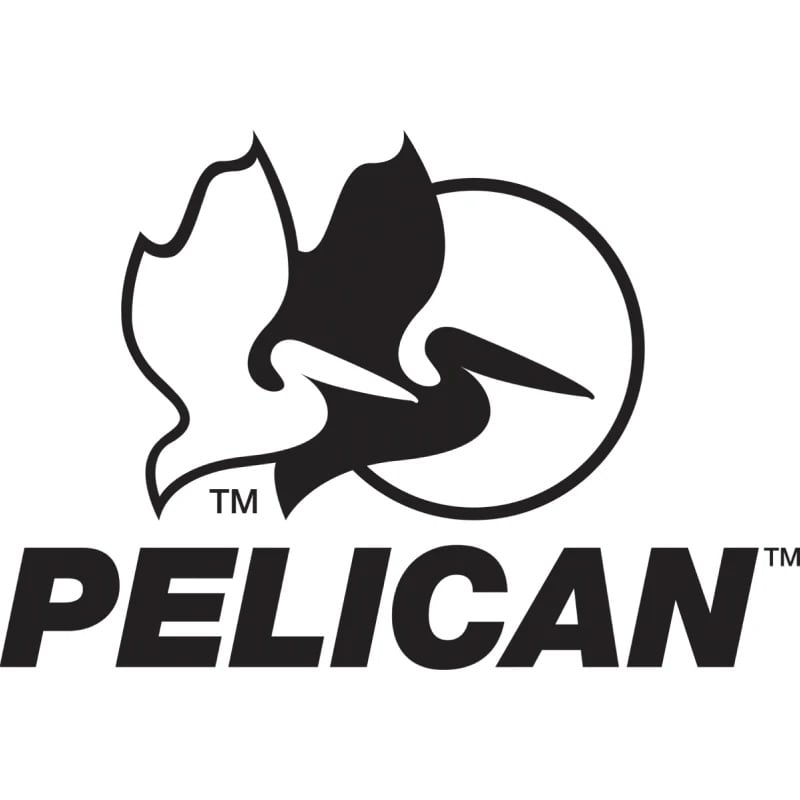 Pelican