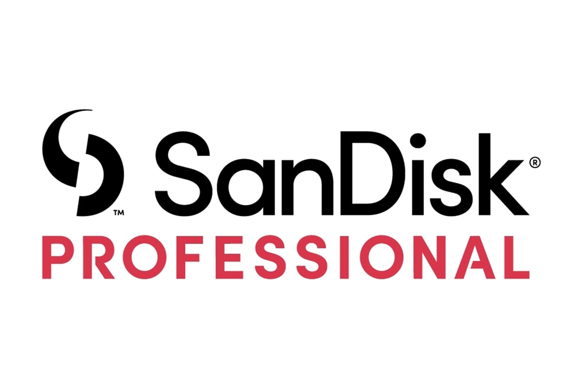 Sandisk Professional