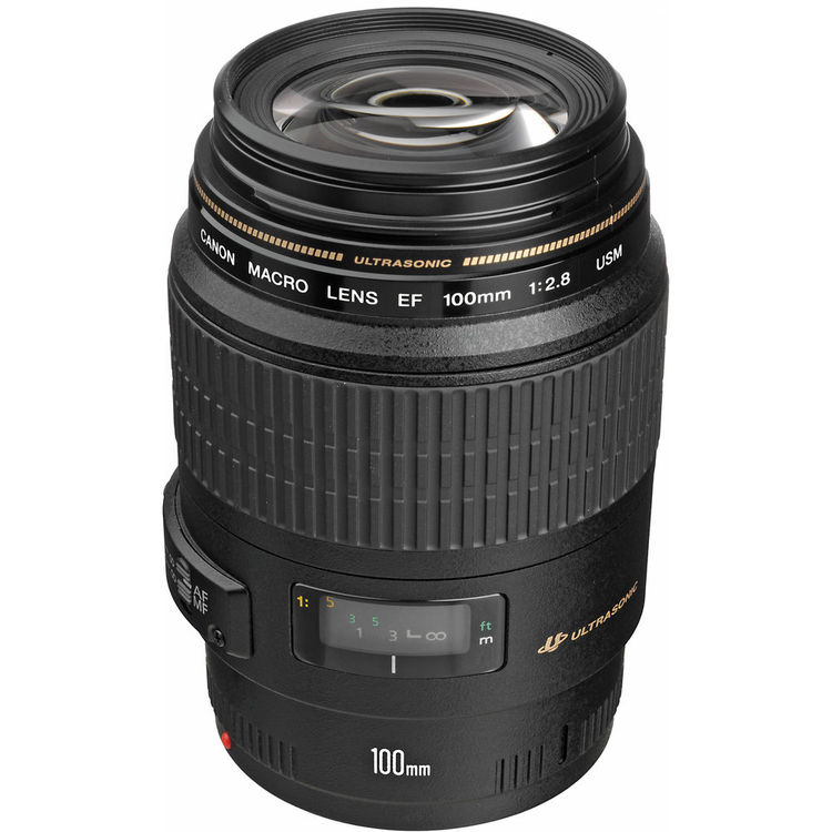Used Canon 100mm F/2.8 Macro USM