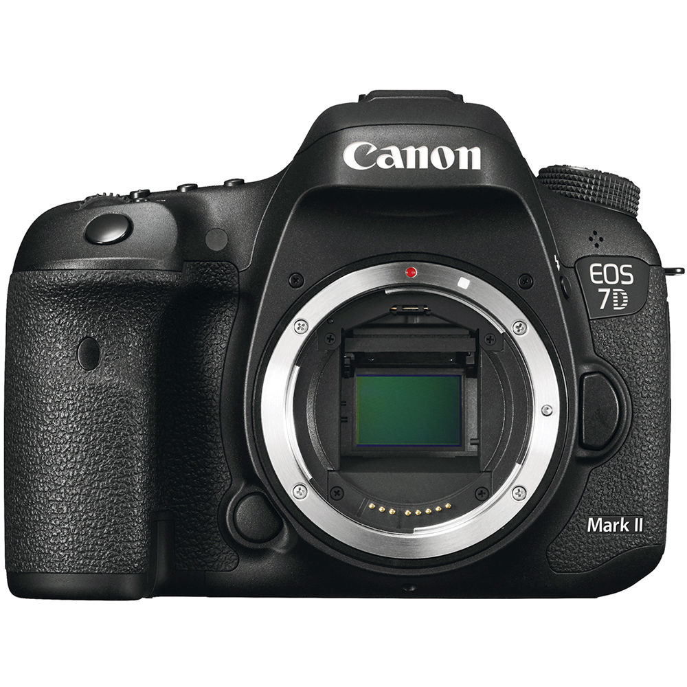 Used Canon 7D MKII Body