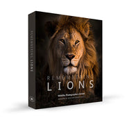 Remembering Lions by Wildlife Photographers United