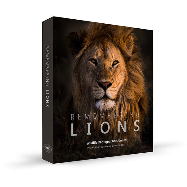 Remembering Lions by Wildlife Photographers United