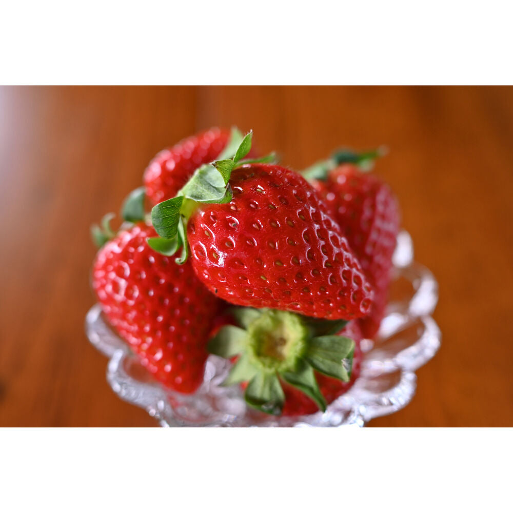 Low-light performance, close-up detail and faster shutter speeds for APS-C cameras. Helps photographers and vloggers to create content that stands out.