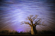 Baobabs and Stars Workshop Safari by Tusk Photo