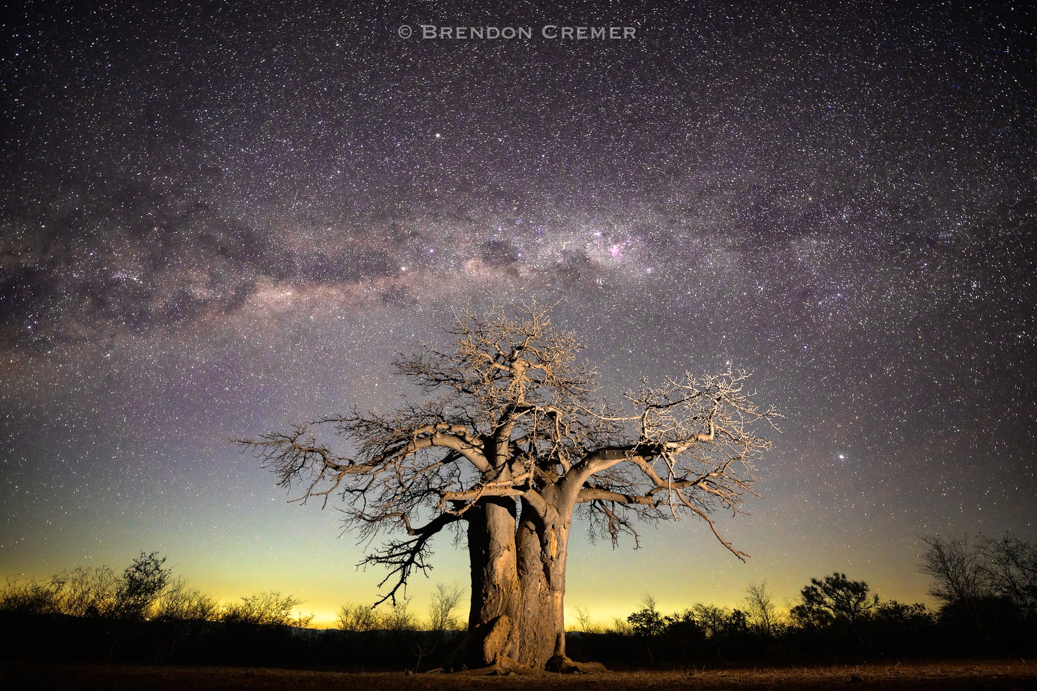 Baobabs and Stars Workshop Safari by Tusk Photo