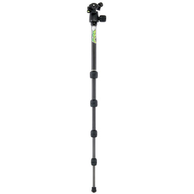 3 Legged Thing Punks Brian 2.0 tripod with AirHed Neo 2.0 Ball Head in black for tall, versatile, travel-ready support.