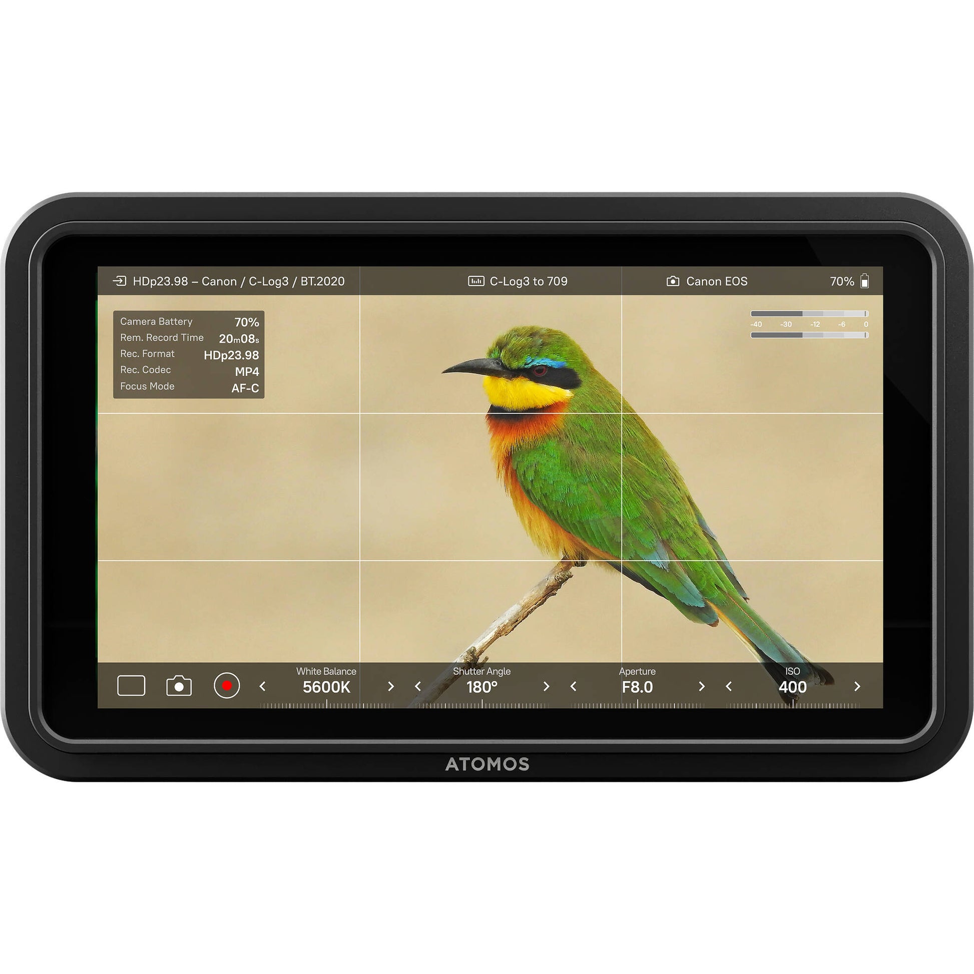 ATOMOS display with a bird on screen on a white background