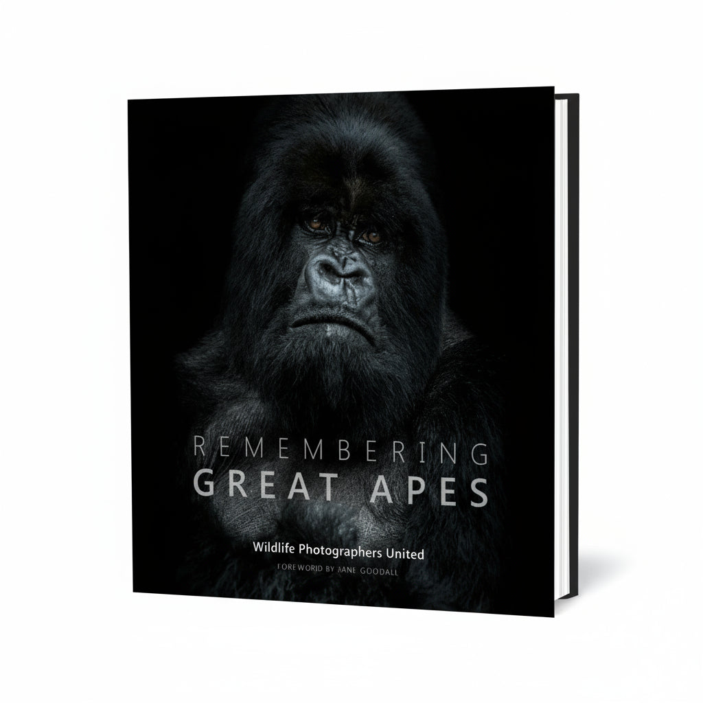 Book cover of Remembering Great Apes by Wildlife Photographers United featuring chimpanzee, gorilla, and orangutan photography.