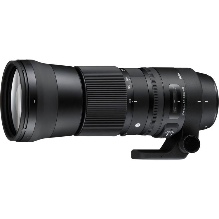 Camera lens on a white background
