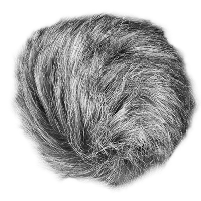 Zoom WSU-1 Universal furry windscreen for portable recorders.