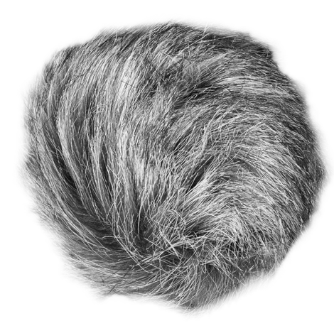 Zoom WSU-1 Universal furry windscreen for portable recorders.