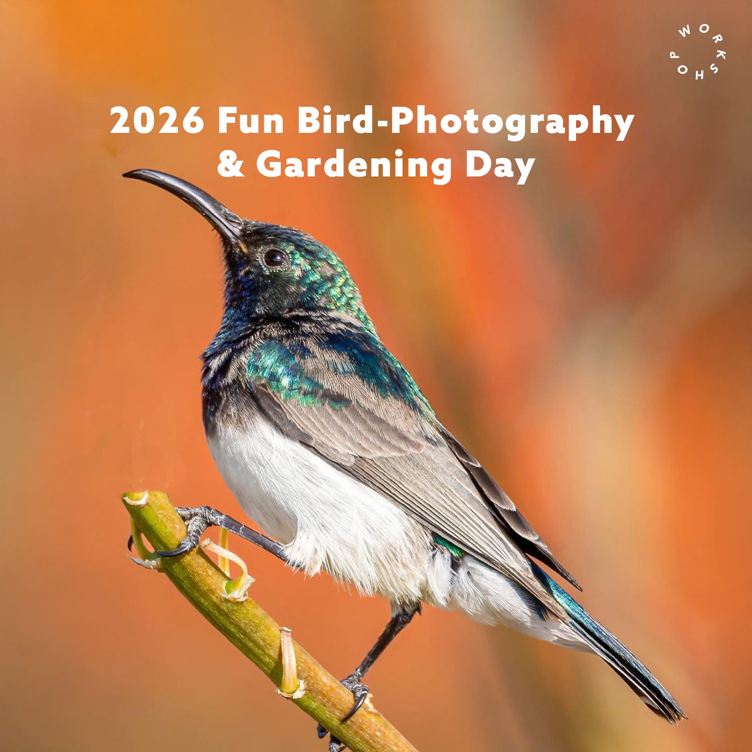2026 Fun Bird-Photography & Gardening Day