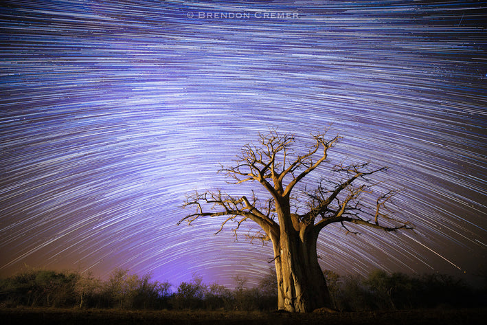 Baobabs and Stars Workshop Safari by Tusk Photo