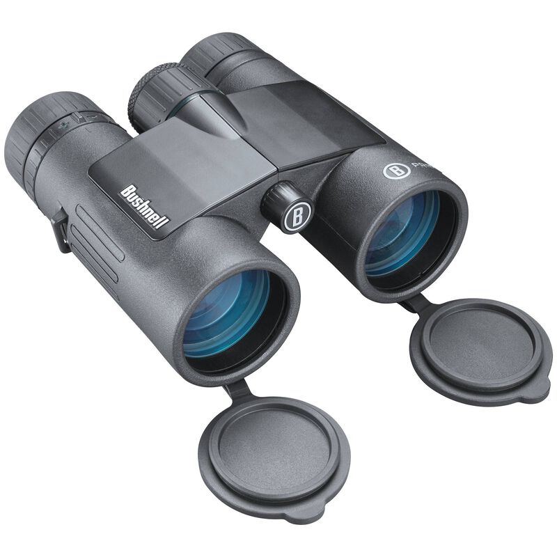 The Prime 8x42 binocular is the perfect blend of magnification and field of view. These binoculars are great for wildlife.
