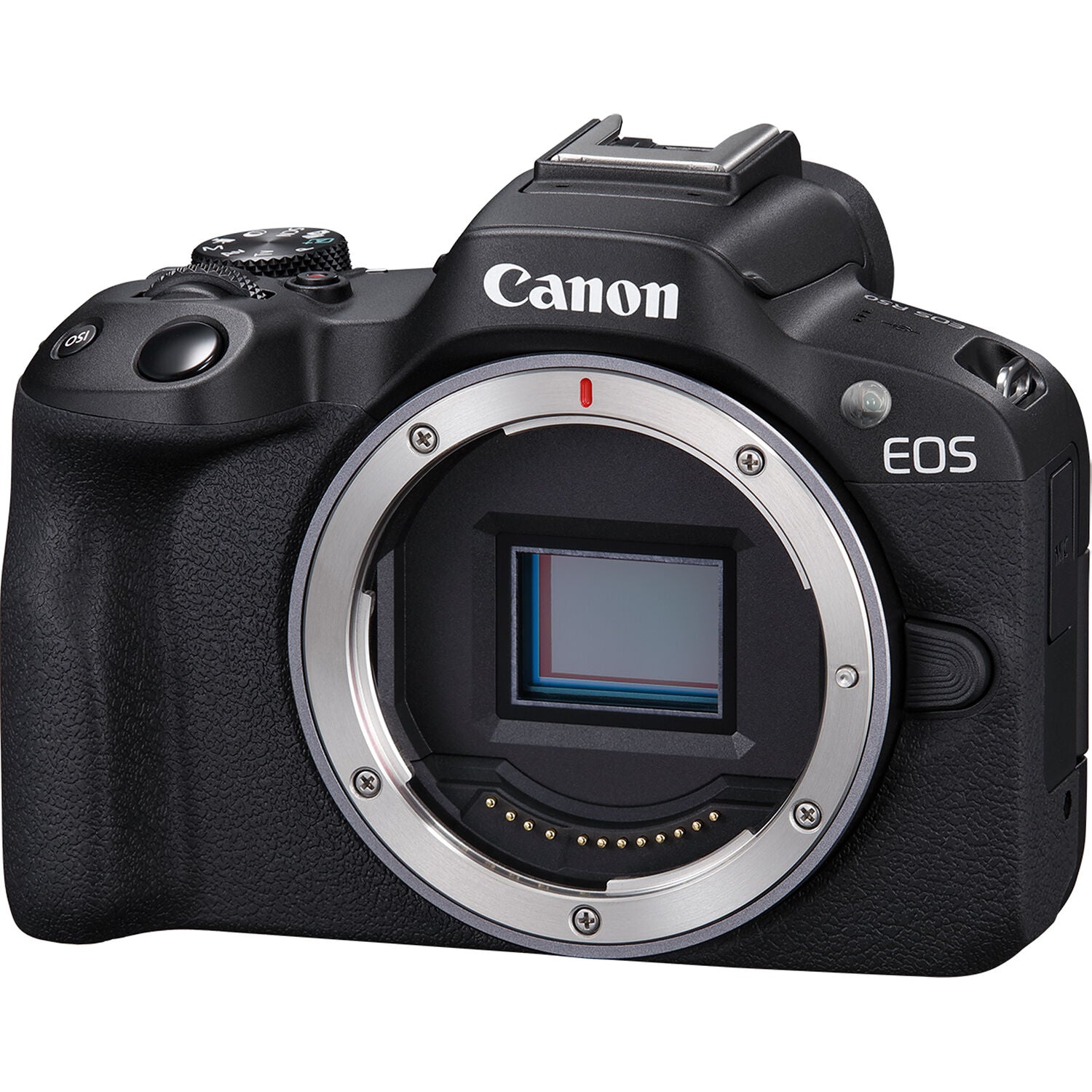 デジタルカメラ Canon EOS R50 Canon EOS R50 Mirrorless Camera – Outdoorphoto