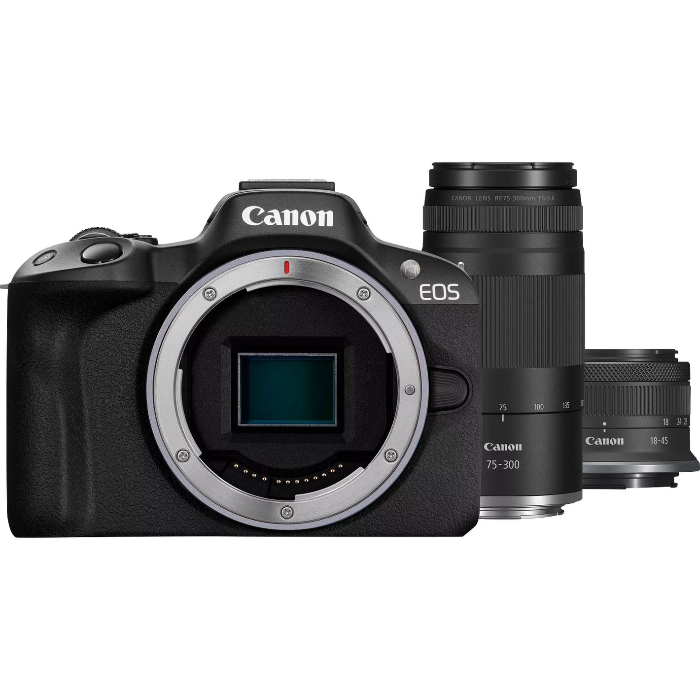 Canon EOS R50 kit with 18-45mm and 75-300mm RF lenses - complete kit front view
