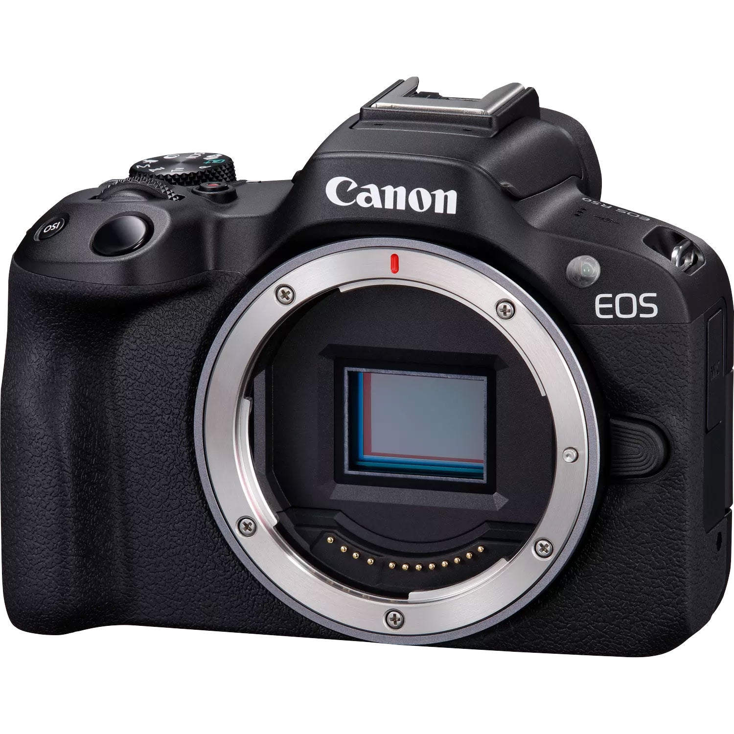 Canon EOS R50 kit with 18-45mm and 75-300mm RF lenses - right front angle view