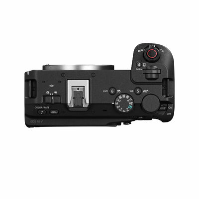 Canon EOS R6 V with its vari-angle screen to film 4K video