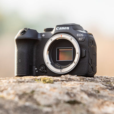 Canon EOS R7 Mirrorless Camera: 32.5MP APS-C sensor, DIGIC X processor, Dual Pixel CMOS AF II, 4K 60p video (7K oversampled), 30fps burst, 7-stop IBIS, AF tracking for humans and animals, supports EF/EF-S lenses with adapter.
