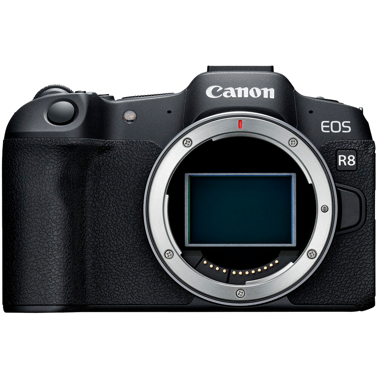 Canon EOS R8 full-frame mirrorless camera with 24MP and 4K60 video.
