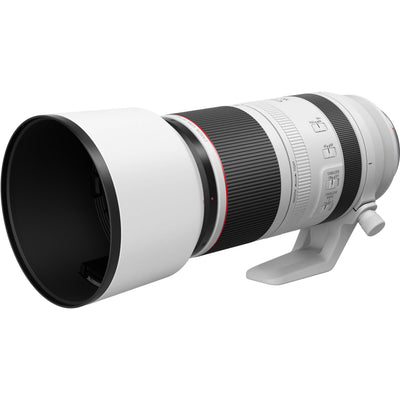 Canon RF 100-500mm F4.5-7.1 L IS USM telephoto zoom lens.