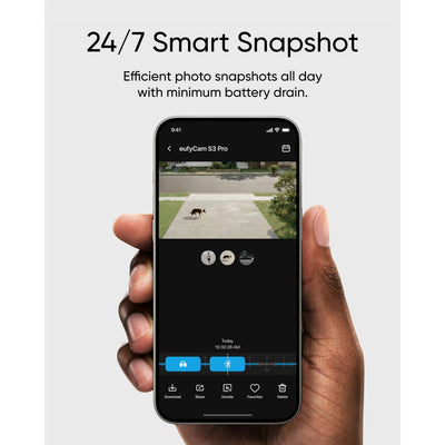 Hand holding a smartphone displaying a security camera app with a dog on a leash in a driveway.