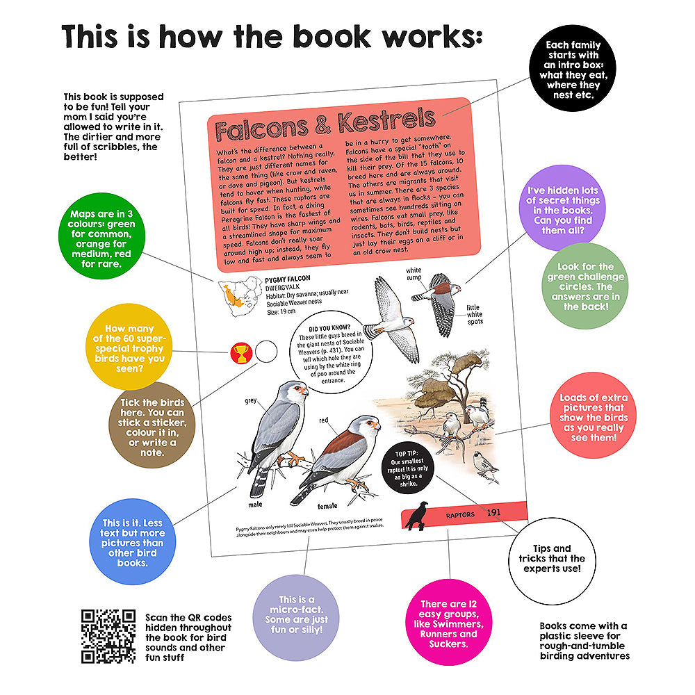 Educational page from a book about falcons and kestrels with text and illustrations.