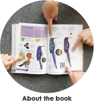 Faansie's Bird Book For Kids 2