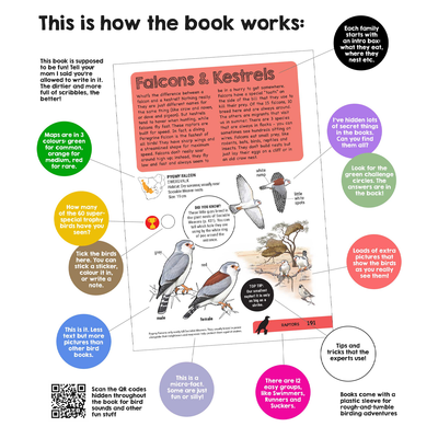 Faansie's Bird Book For Kids 2