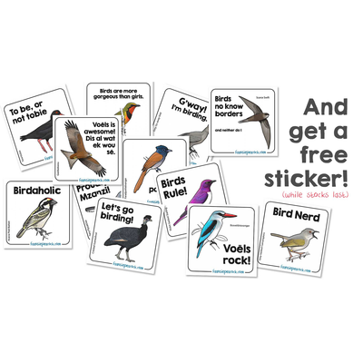 Faansie's Bird Book For Kids 2