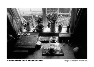 Black and white photo of a window sill with various items including plants and a cutting board.
